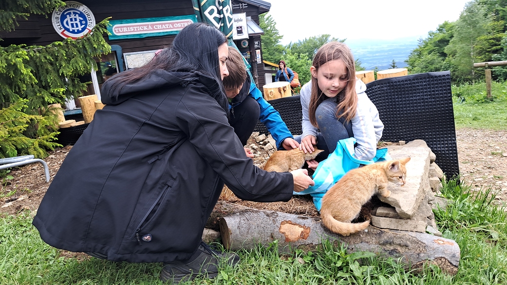 To je něco pro naše děti