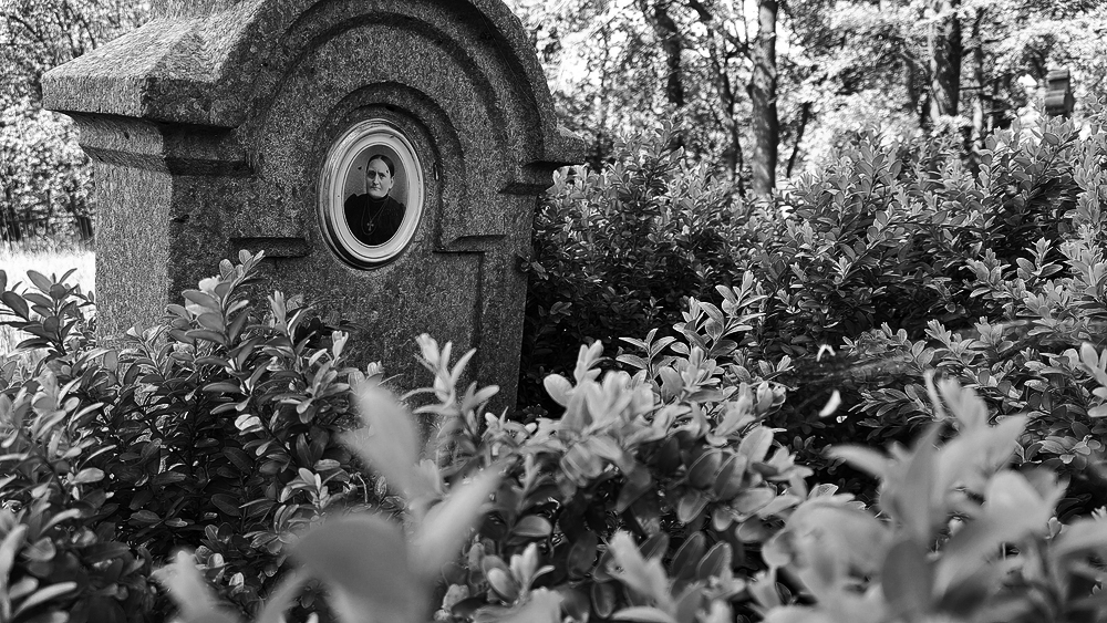 Nové Vilémovice - tady žili