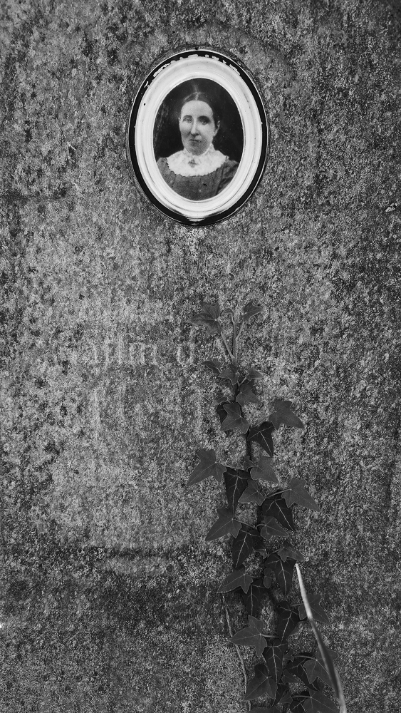 Nové Vilémovice - tady žili