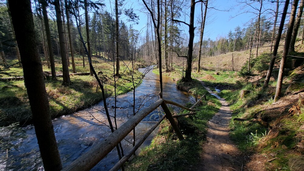 Podél Černého potoka