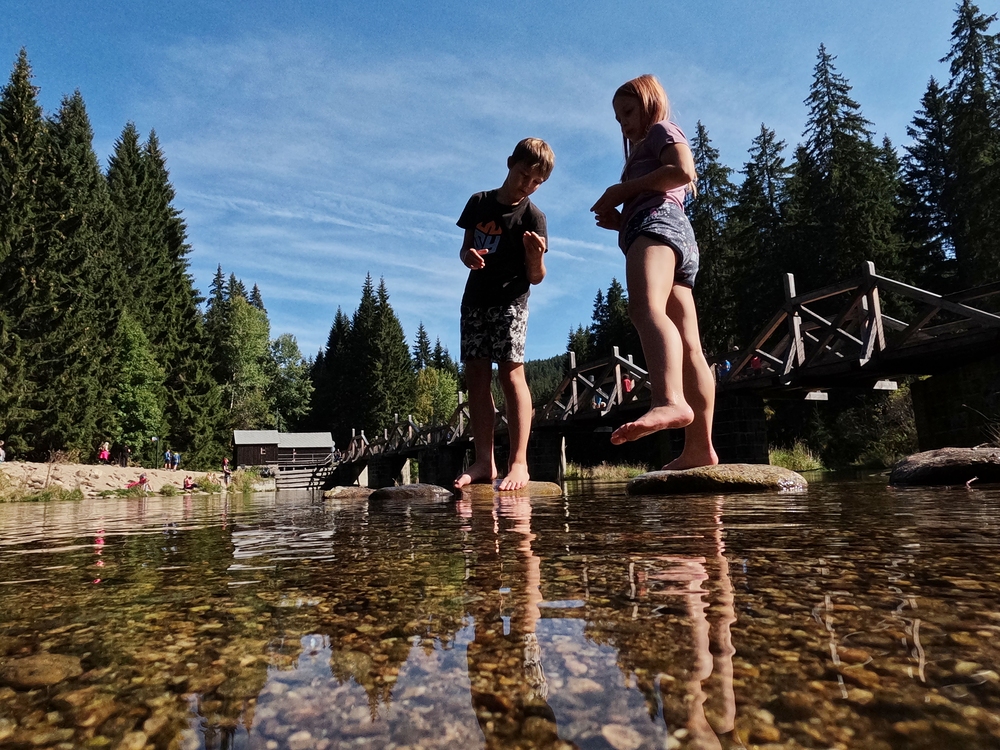 Rechle a čvachtání