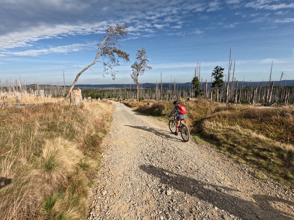 Dlouhý sjezd do Prášil