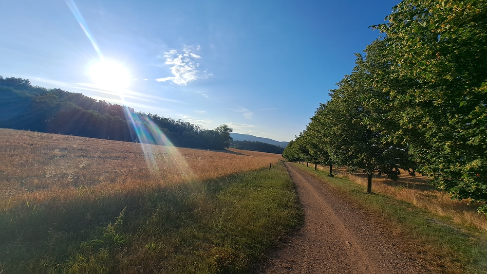Kolem šesté nikde nikdo