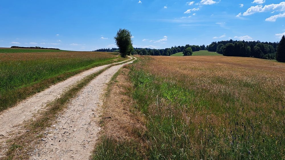 Oblíbené místo nad Samotínem
