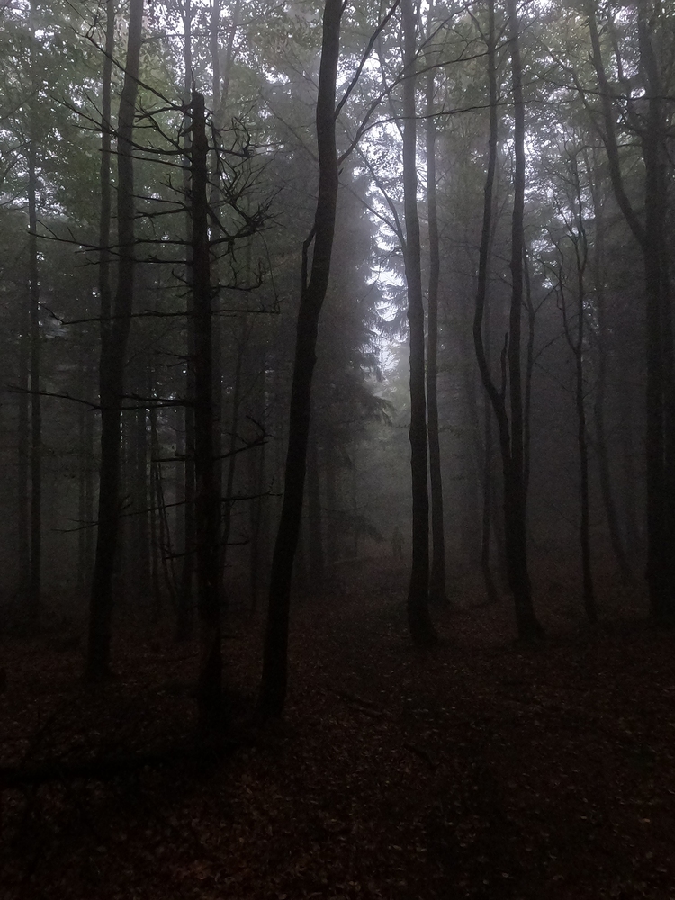 Značíme za deště a mlhy