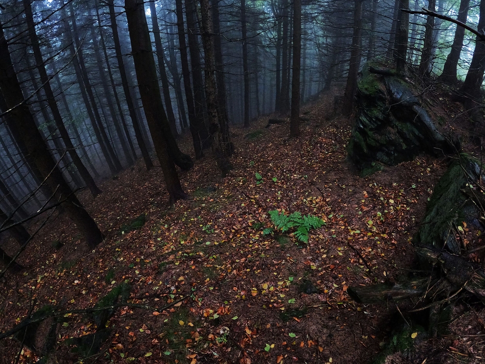 Pravé Rychlebské počasí