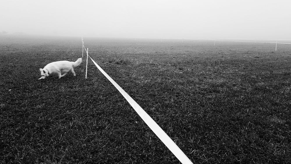 Parkoviště jsme nachystali