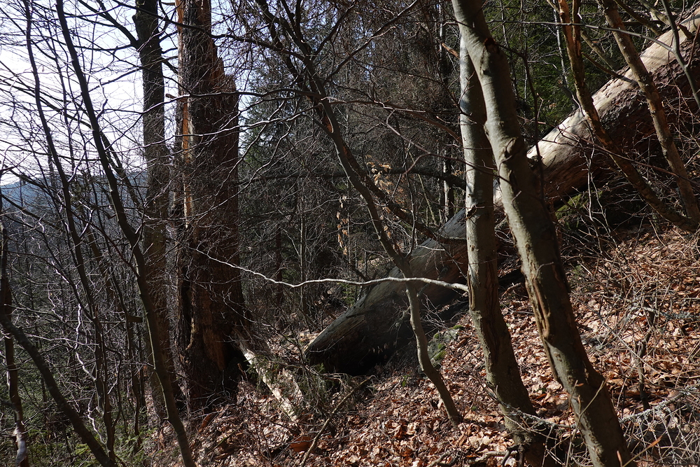 Tudy s lyžemi na zádech