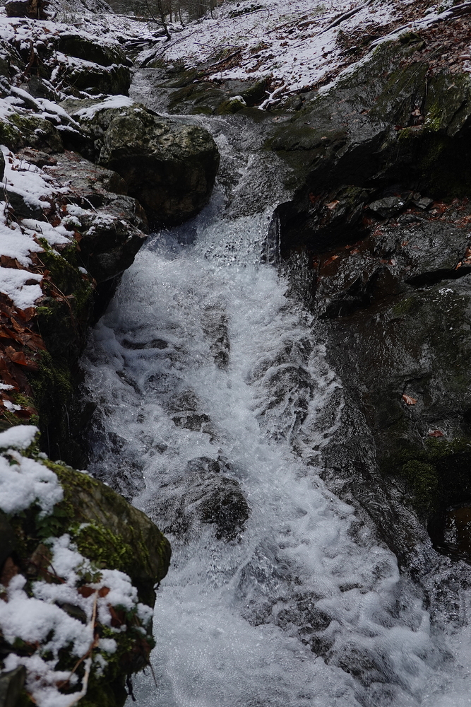 Podél Pradědské cesty