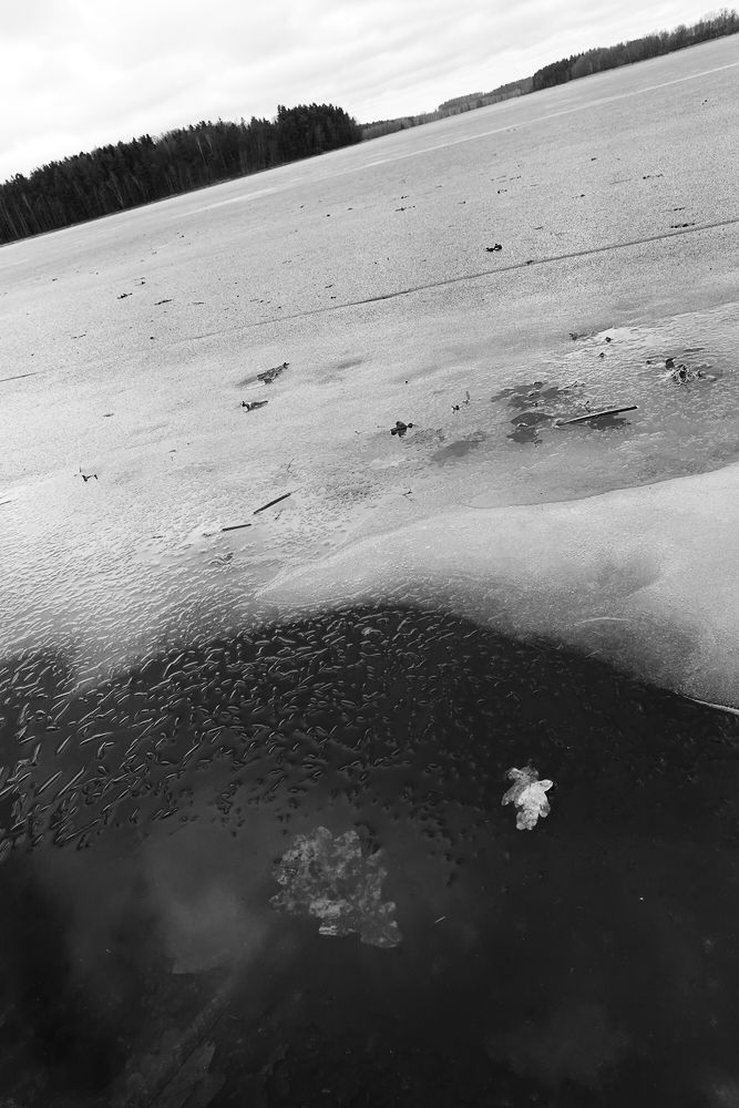 Kačležský rybník