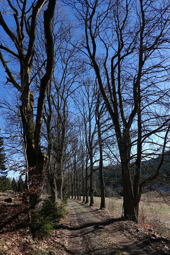 Bývalé Stříbrné Hutě