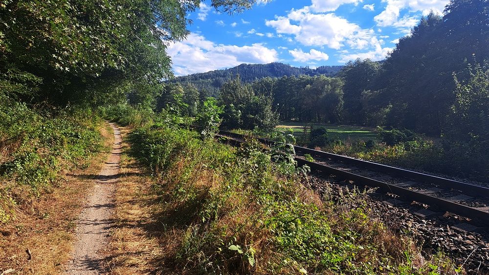 Podél trati do Borače