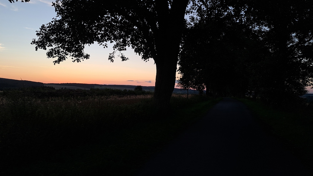 V aleji nad Herálcem