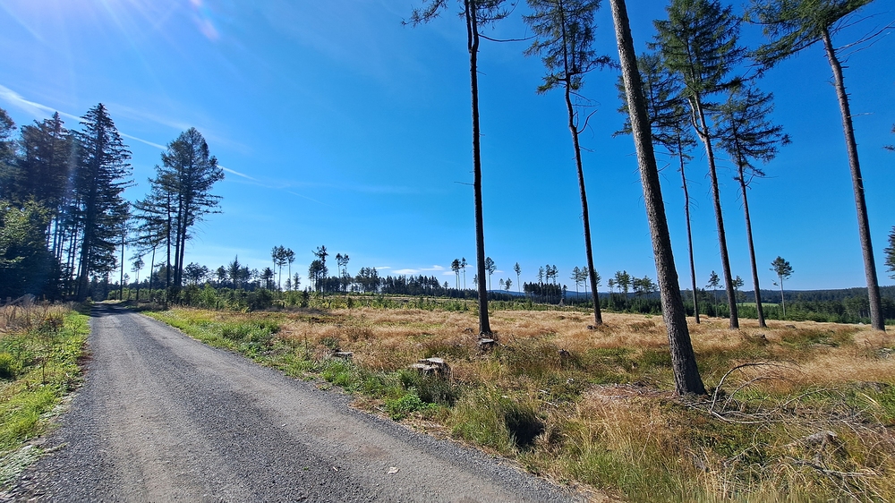 Nejvyšší místa trasy