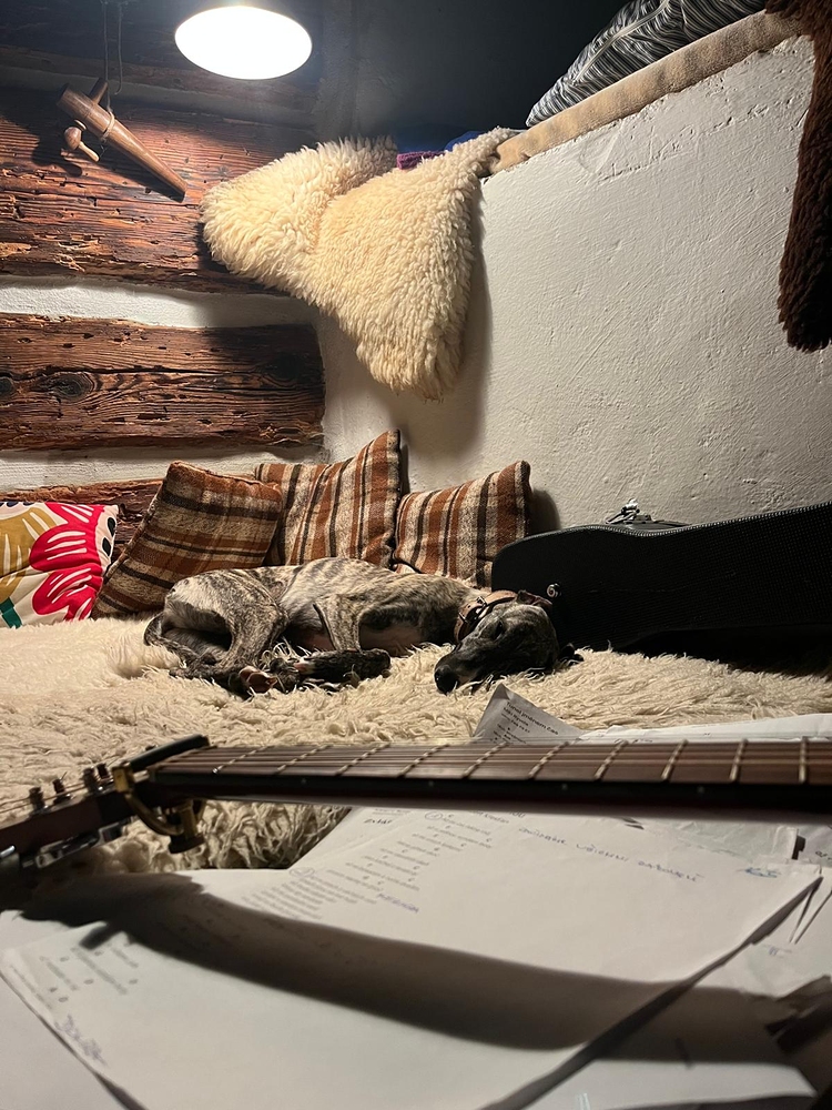 Pejsek (fotila Bětka)