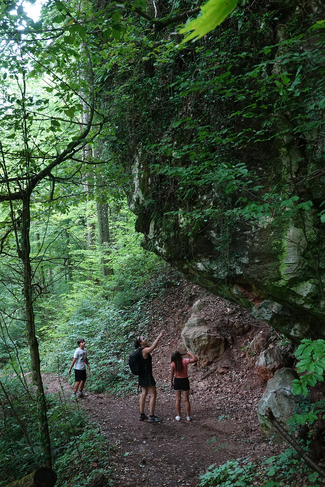 Pod medvědí soutěskou