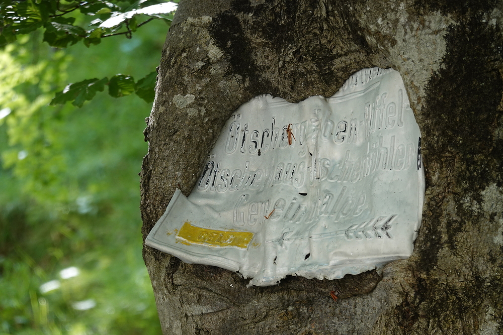 Soutěska Ötschergräben