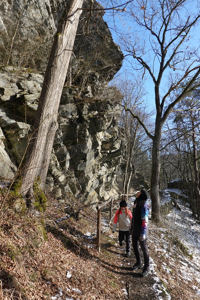 Skalnatý hřebínek