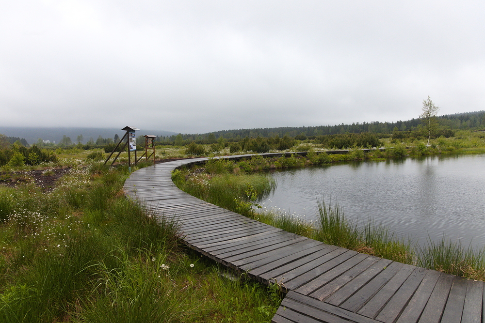 Perninské rašeliniště