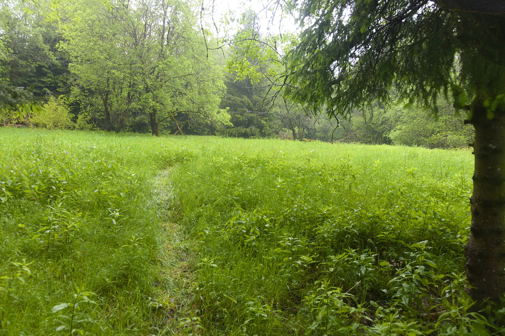 Zde stál tábor Nikolaj