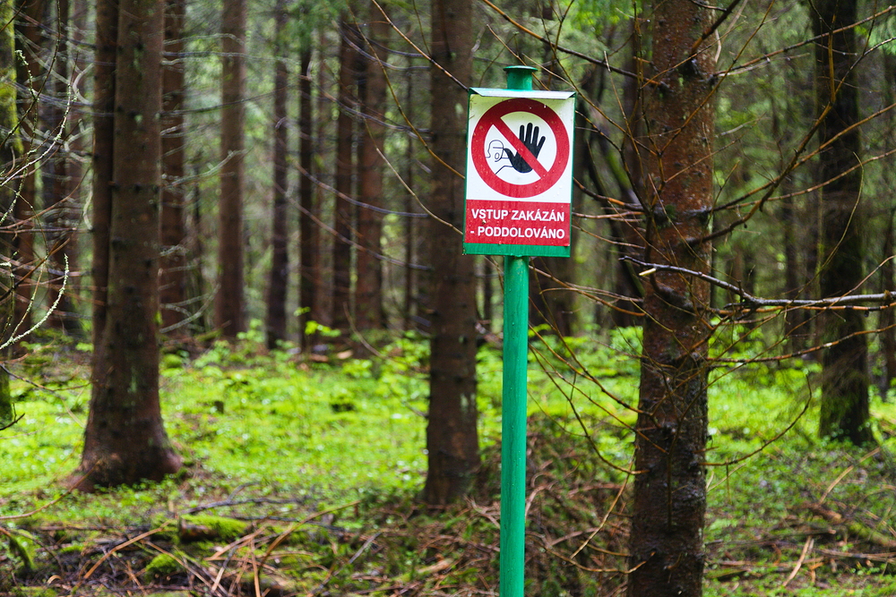 Podél Eliášova potoka