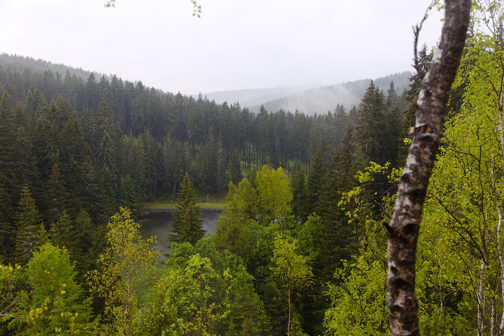 Horký rybník z hlady dolu Eduard