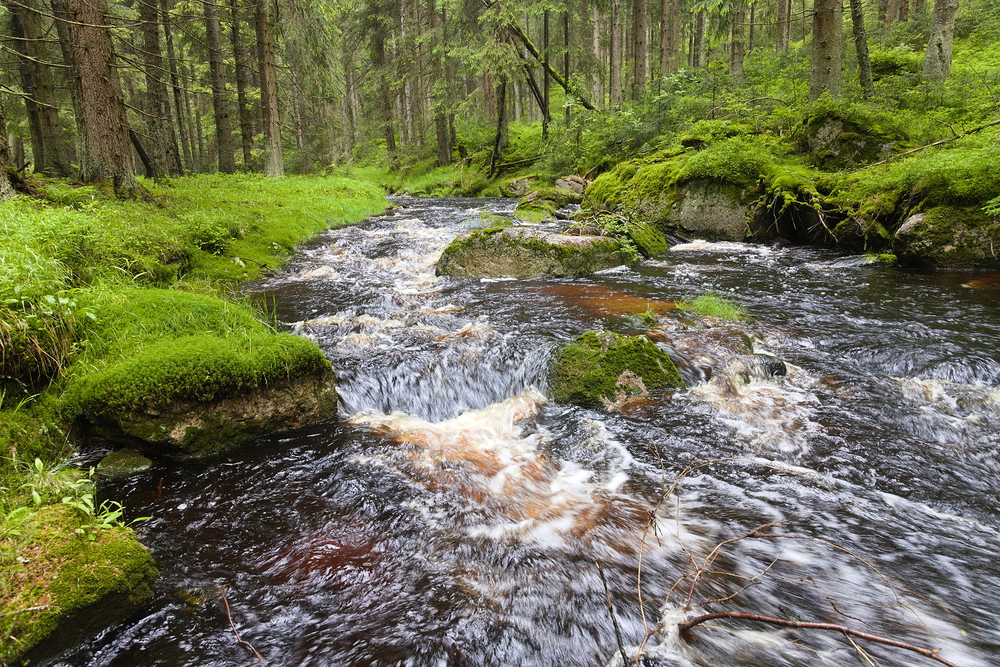Voda z rašelinišť