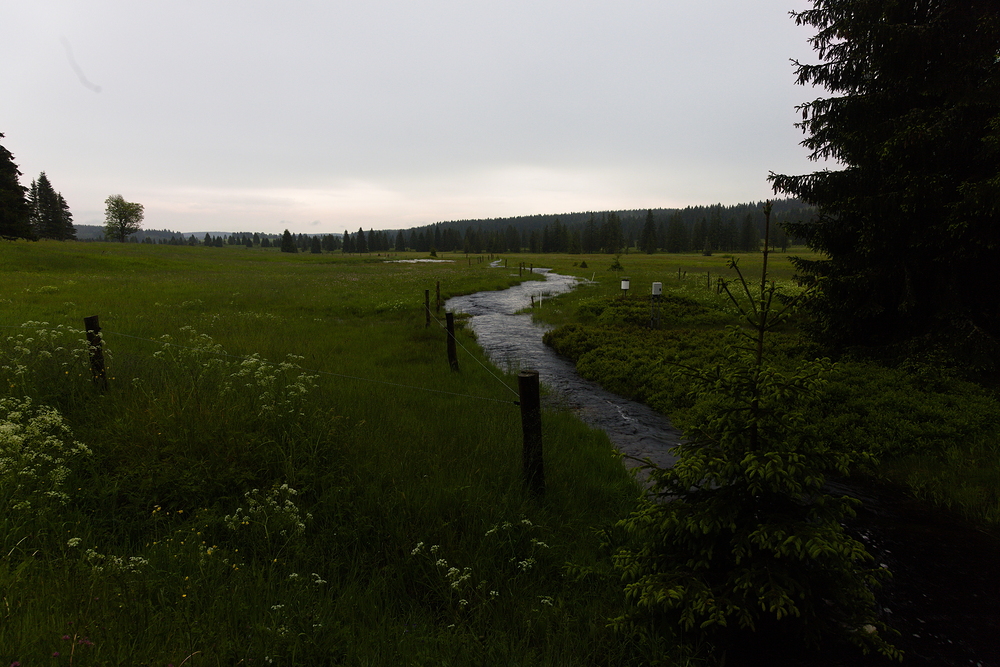 Přebuzské vřesoviště