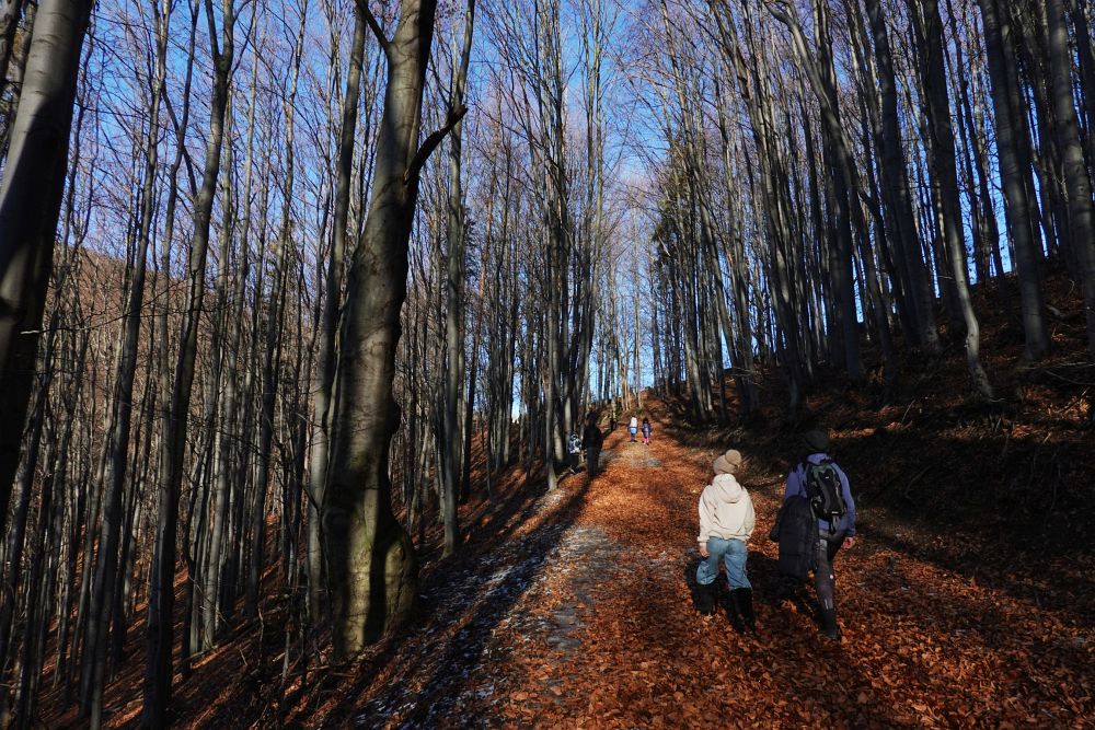 Cestou z Košařisek