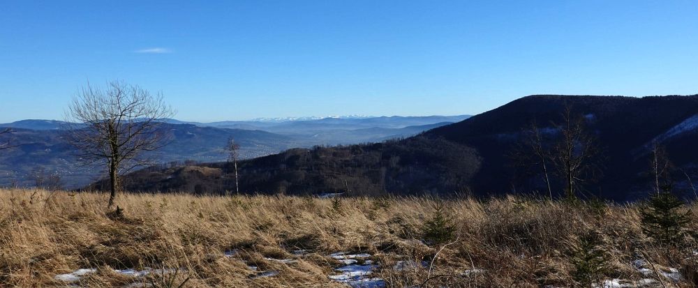 Ostrý z Javorového