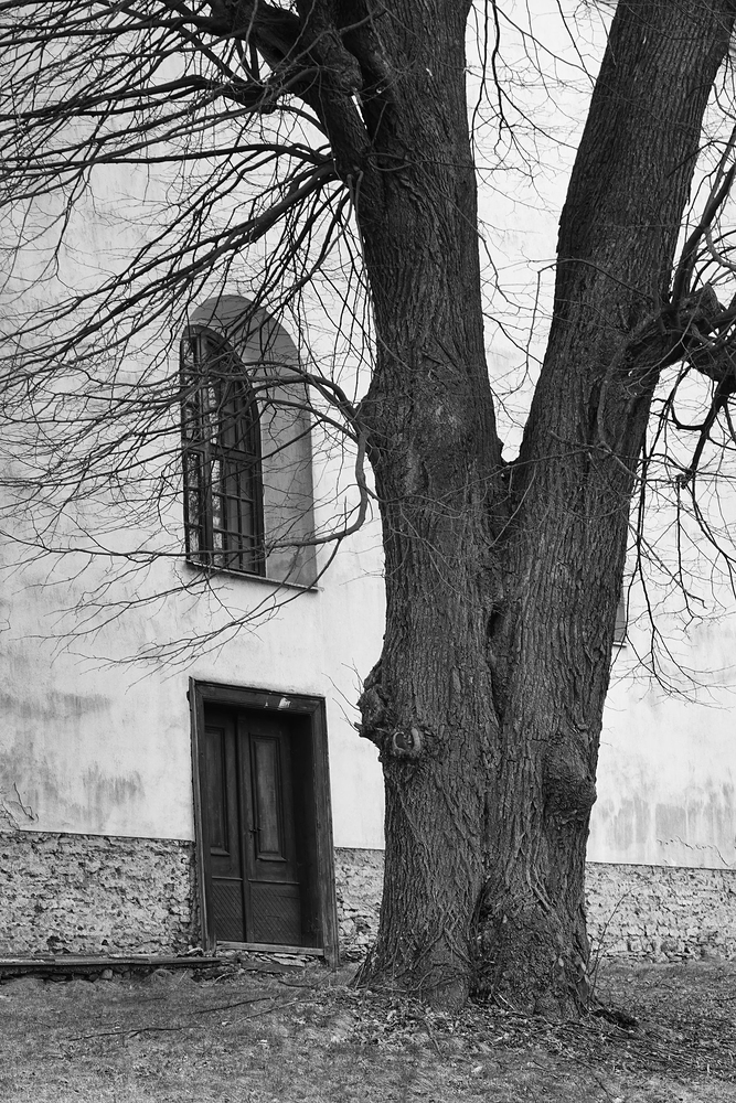 Hraničné Petrovice