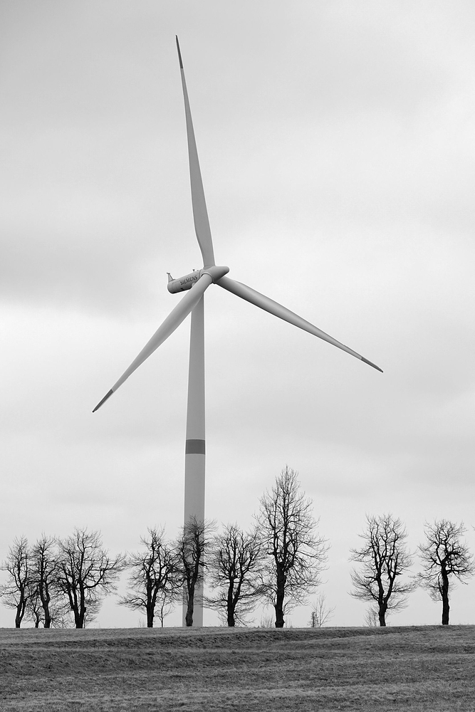 Člověk v přírodě