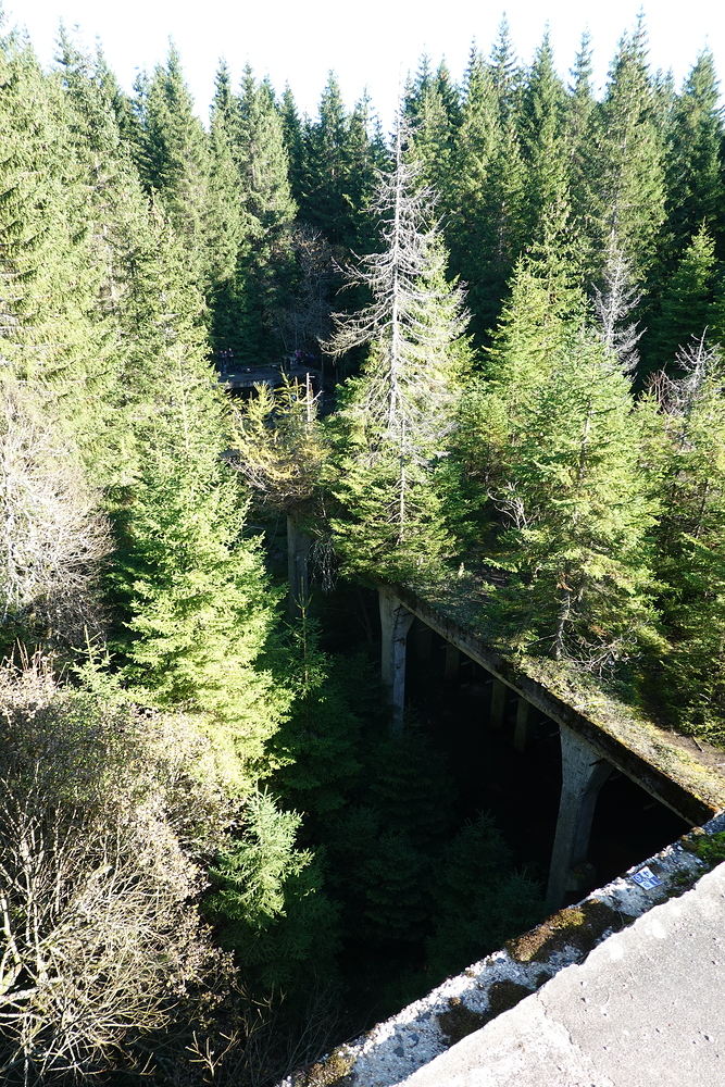 Sauersack - ze čtvrtého patra