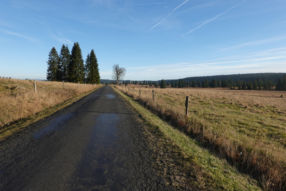 Přebuzské vřesoviště