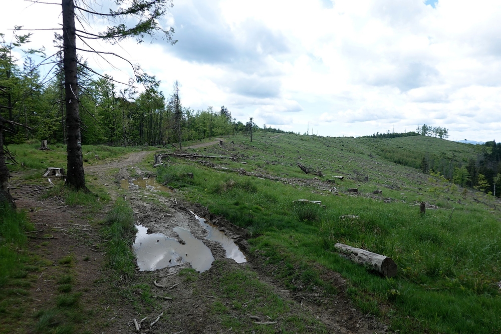 Na hřebeni Javorníků