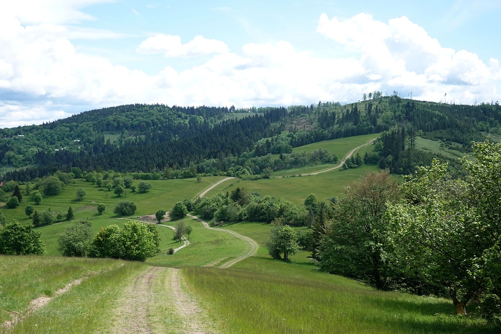 Po té cestě jsem přijel