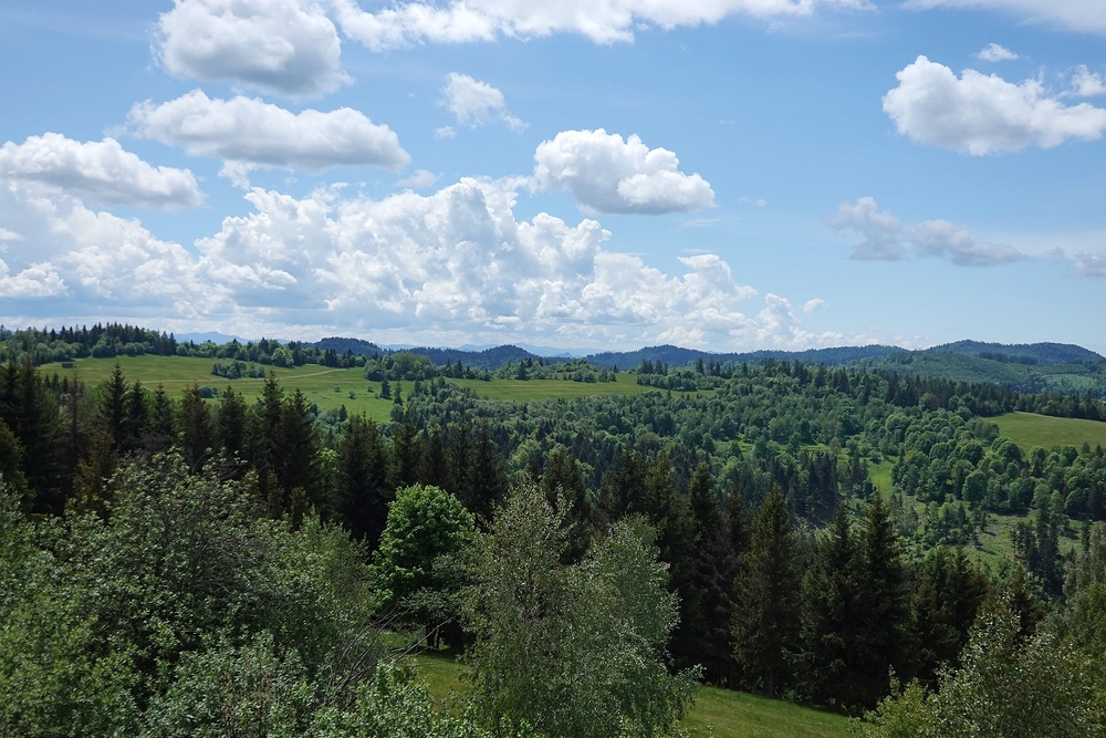 Z rozhledny před sebe - tam jedu