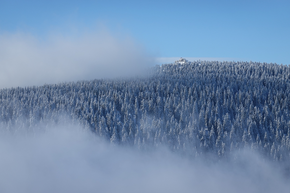 Vozka a na něm lidé