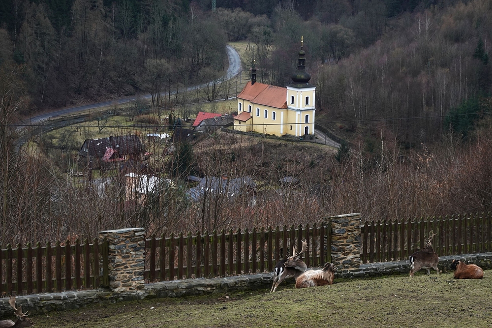 Svojanov - hradní obora