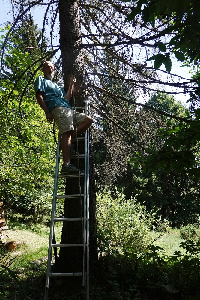 Světelný řetěz nesmí chybět