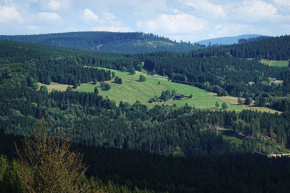 Javořina z protisvahu