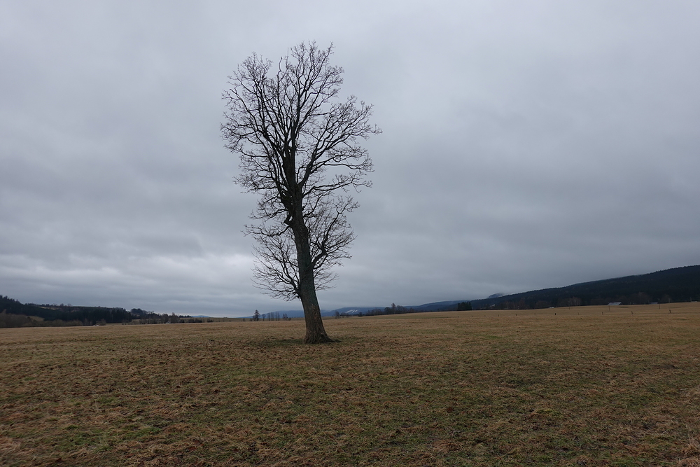 Údolí Divoké Orlice