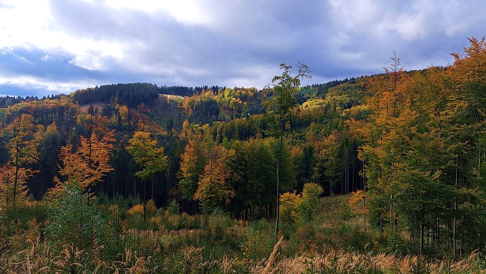 Barvy podzimu na Kyčeře