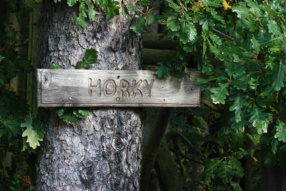 Další starý název