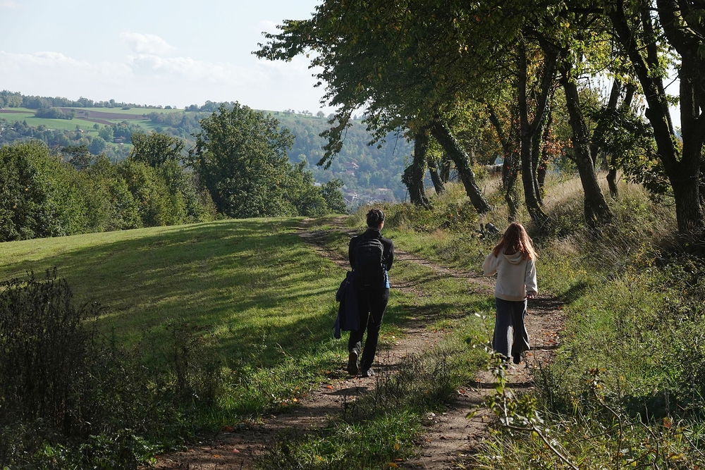 Teď už jen z kopce