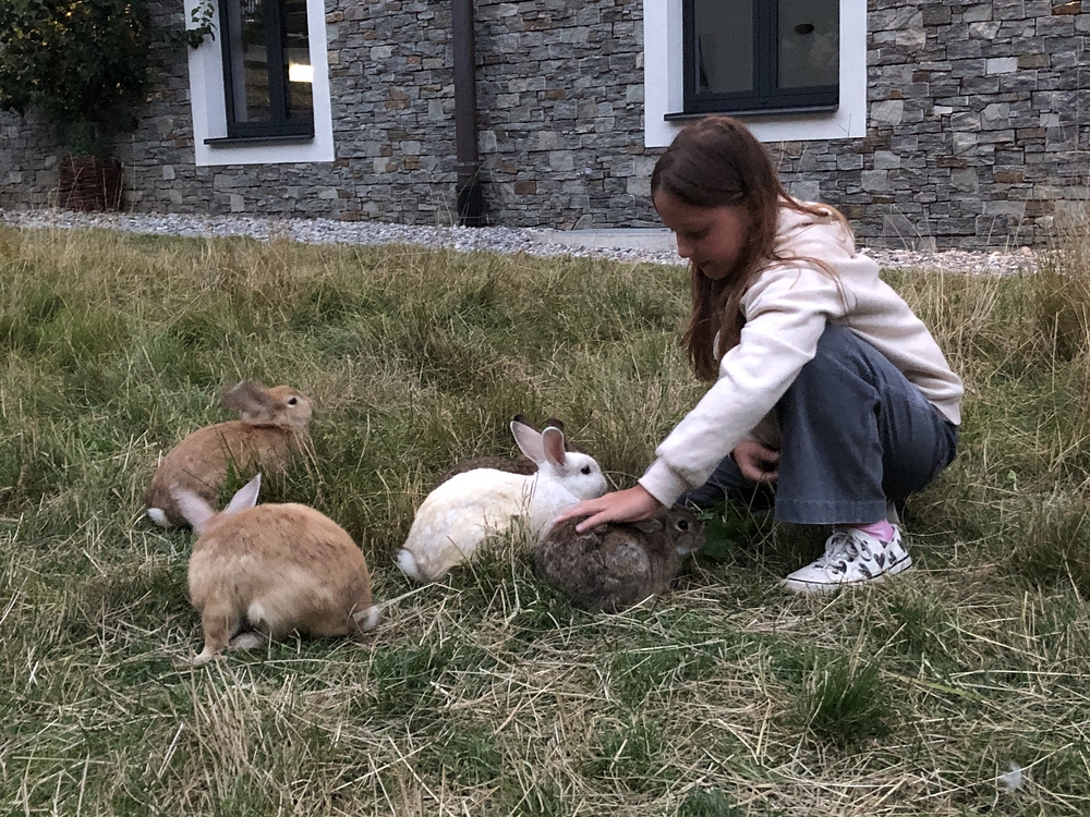 Velká atrakce v kempu