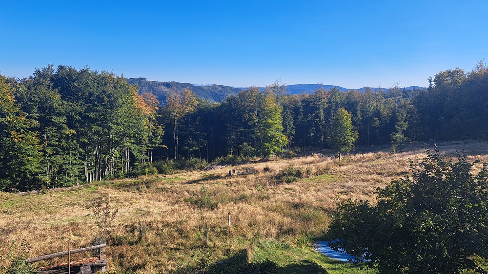 Výhled z pracoviště pět dní po sobě