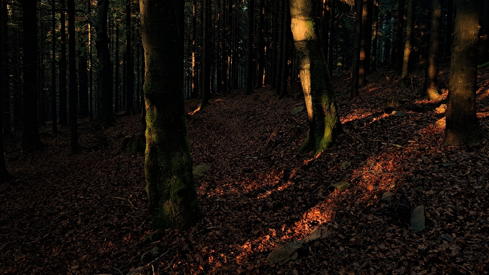 Před západem slunce