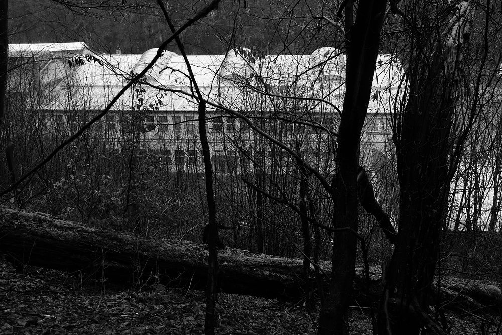 Džungle nad fabrikou