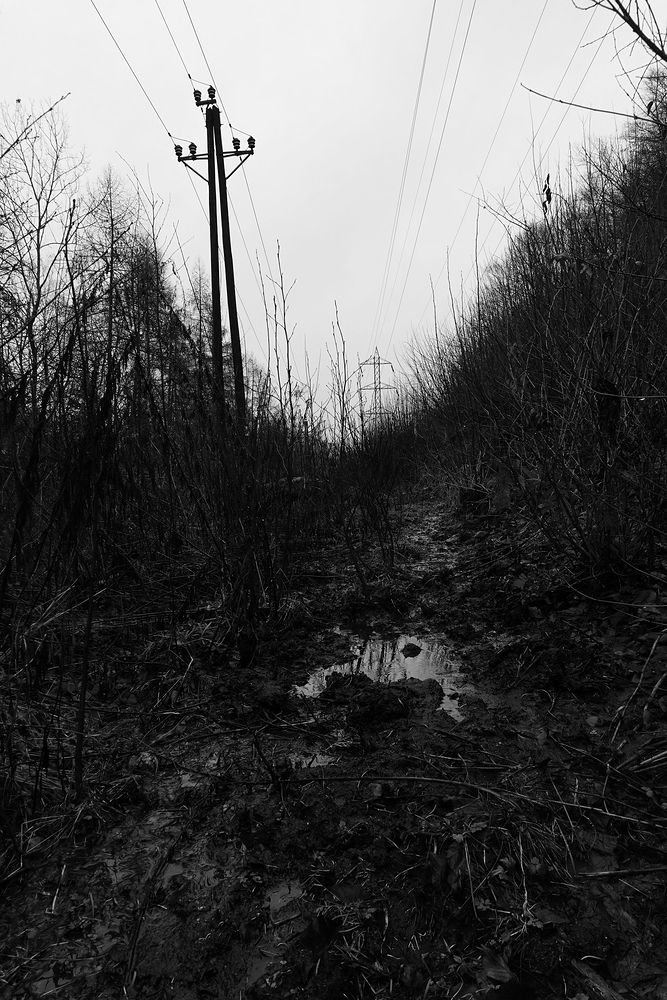 Po kotníky v bahně